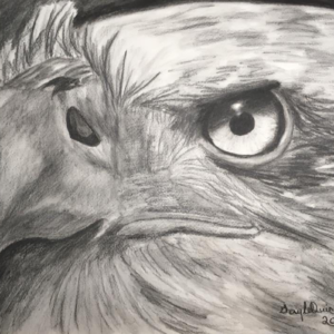Eagle Eye