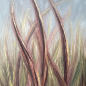 Field of Mauve